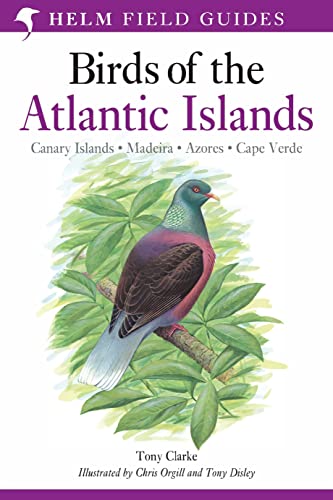 Beispielbild fr Field Guide to the Birds of the Atlantic Islands zum Verkauf von Blackwell's