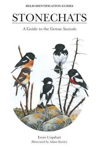 Stonechats. Helm Identification Guide.