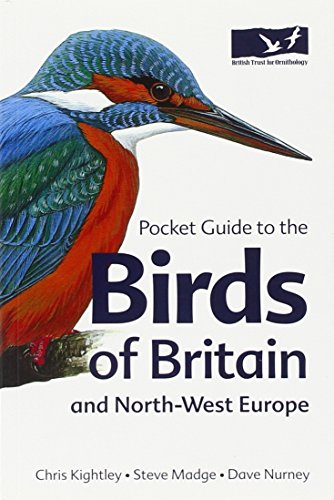 Stock image for Pocket Guide to the Birds of Britain and North-West Europe (Helm Field Guides) for sale by WorldofBooks