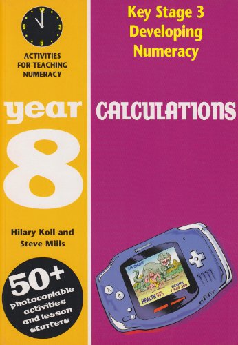 Imagen de archivo de Calculations: Year 8: Activities for the Daily Maths Lesson (Developing Numeracy) a la venta por WorldofBooks