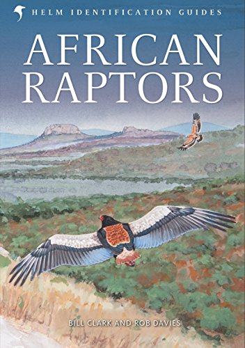 9780713665383: African Raptors (Helm Identification Guides)