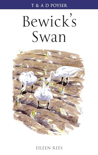 9780713665598: Bewick's Swan (Poyser Monographs)