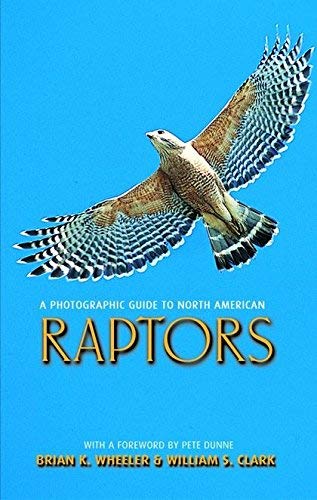 Stock image for A Photographic Guide to North American Raptors for sale by Henffordd Books