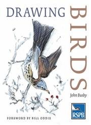 Beispielbild fr Drawing Birds (RSPB) zum Verkauf von Pieuler Store