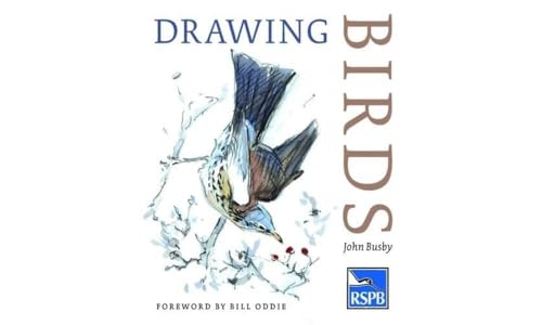 Imagen de archivo de Drawing Birds a la venta por Blackwell's