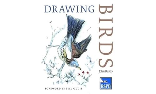 9780713668162: Drawing Birds (RSPB)