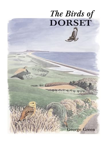 Beispielbild fr The Birds of Dorset zum Verkauf von Broad Street Book Centre