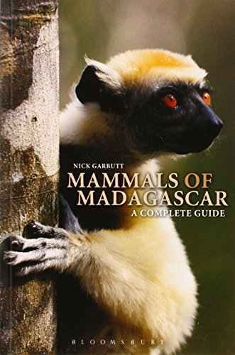 Beispielbild fr Guide to the Mammals of Madagascar zum Verkauf von WorldofBooks