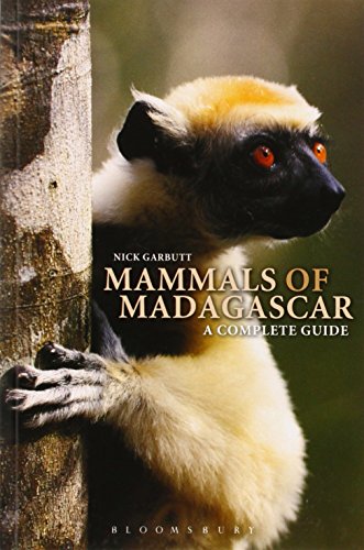 9780713670431: Guide to the Mammals of Madagascar