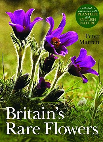 Stock image for Britain's Rare Flowers for sale by WorldofBooks