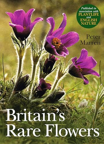Stock image for Britains Rare Flowers (Poyser Natural History) for sale by Reuseabook
