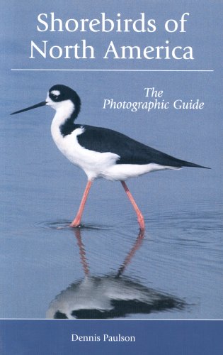 9780713673777: Shorebirds of North America: A Photographic Guide
