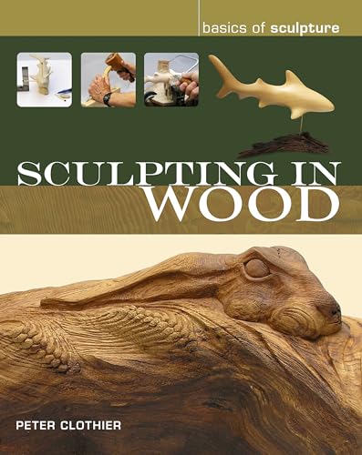 Beispielbild fr Sculpting in Wood (Basics of Sculpture): The Basics of Sculpture zum Verkauf von WorldofBooks