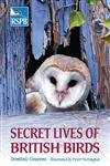 9780713675139: Secret Lives of British Birds (RSPB)