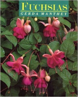 Stock image for Fuchsias for sale by Wonder Book