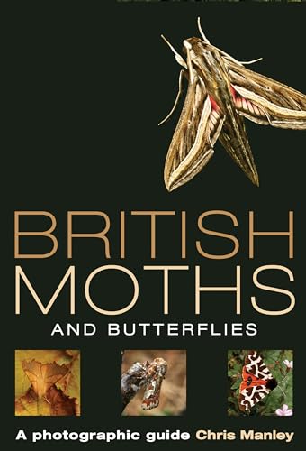 Stock image for British Moths and Butterflies: A Photographic Guide for sale by WorldofBooks