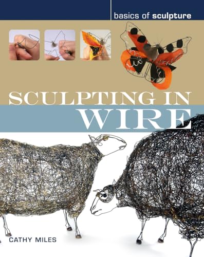 9780713688870: Sculpting in Wire (Basics of Sculpture)