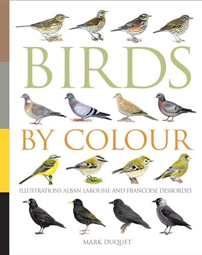 Stock image for Birds by Colour for sale by WorldofBooks