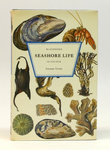 Imagen de archivo de Seashore Life (Colour S.) a la venta por WorldofBooks