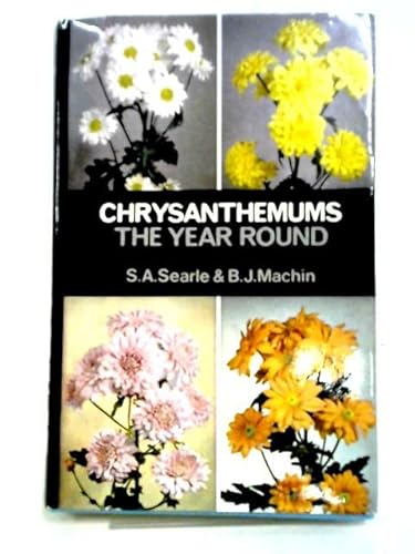 Stock image for Chrysanthemums the year round for sale by ThriftBooks-Atlanta