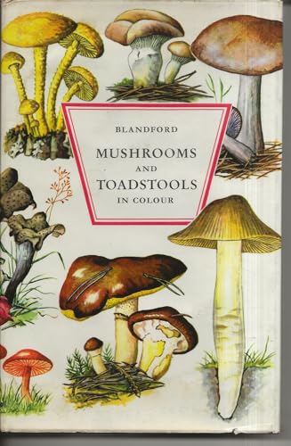 Beispielbild fr Mushrooms and Toadstools in Colour zum Verkauf von WorldofBooks