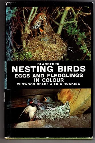 Stock image for Nesting Birds, Eggs and Fledglings in Colour for sale by WorldofBooks