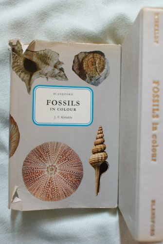 Imagen de archivo de Fossils in Colour a la venta por Better World Books Ltd