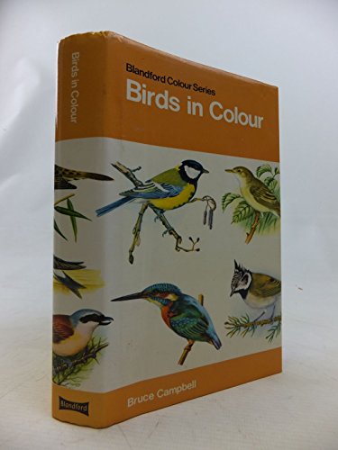 Beispielbild fr Birds in Colour zum Verkauf von WorldofBooks