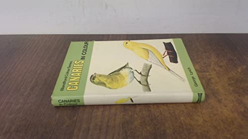 Beispielbild fr Canaries (Colour) zum Verkauf von Reuseabook