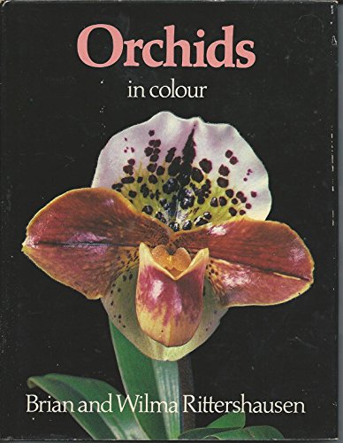 9780713708592: Orchids in Colour