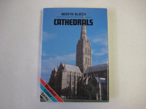 Beispielbild fr Cathedrals zum Verkauf von Wonder Book