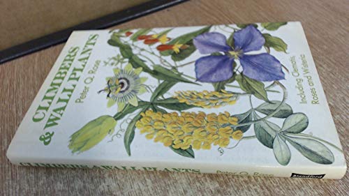 Beispielbild fr CLIMBERS AND WALL PLANTS INCLUDING CLEMATIS, ROSES AND WISTERIA. zum Verkauf von Cambridge Rare Books