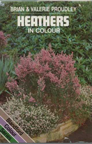 Stock image for Heathers in Colour for sale by Merandja Books