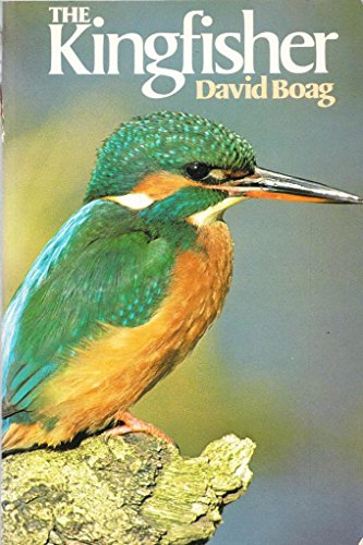 Stock image for The Kingfisher for sale by WorldofBooks