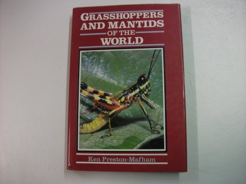 Beispielbild fr Grasshoppers and Mantids of the World zum Verkauf von WorldofBooks