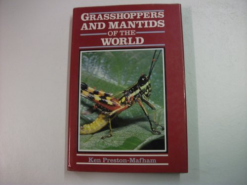 Stock image for Grasshoppers and Mantids of the World for sale by WorldofBooks