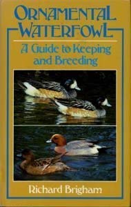 Beispielbild fr Ornamental Waterfowl: A Guide to Keeping and Breeding zum Verkauf von WorldofBooks