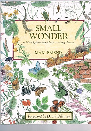 Stock image for Small Wonder: New Approach to Understanding Nature for sale by WorldofBooks