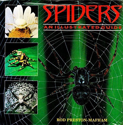 Imagen de archivo de Spiders and Scorpions: An Illustrated Guide a la venta por AwesomeBooks