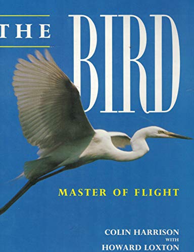 Stock image for The Bird: Master of Flight for sale by AwesomeBooks