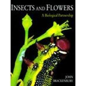 Beispielbild fr Insects and Flowers: A Biological Partnership zum Verkauf von WorldofBooks