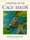 Imagen de archivo de Looking after Cage Birds a la venta por Better World Books