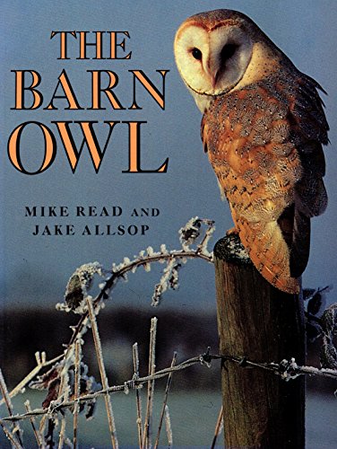 9780713725858: The Barn Owl