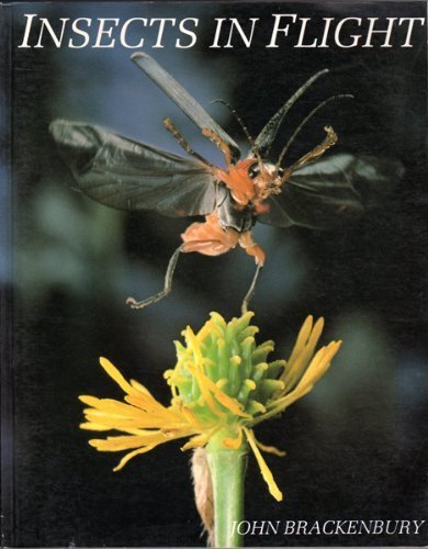 Beispielbild fr Insects in Flight zum Verkauf von WorldofBooks