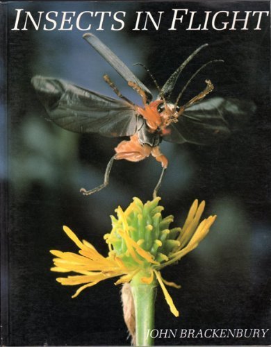 9780713725940: Insects in Flight