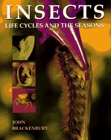 Beispielbild fr Insects: Life Cycles and the Seasons zum Verkauf von WorldofBooks