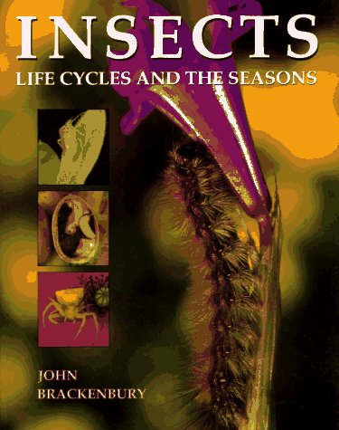 9780713725988: Insects: Life Cycles and the Seasons