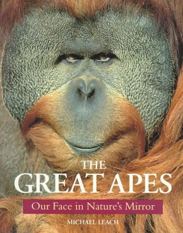 The Great Apes: Our Face in Nature's Mirror