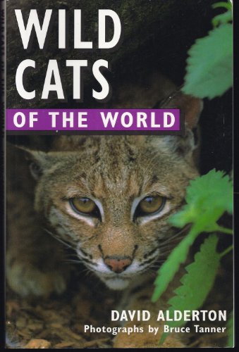 Stock image for Wild Cats of the World. for sale by Lawrence Jones Books