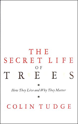 the secret life of trees book review the secret life of trees book review